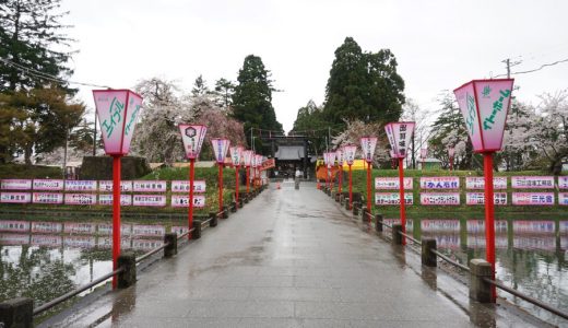 【2018年お花見】山形県新庄市 最上公園の桜