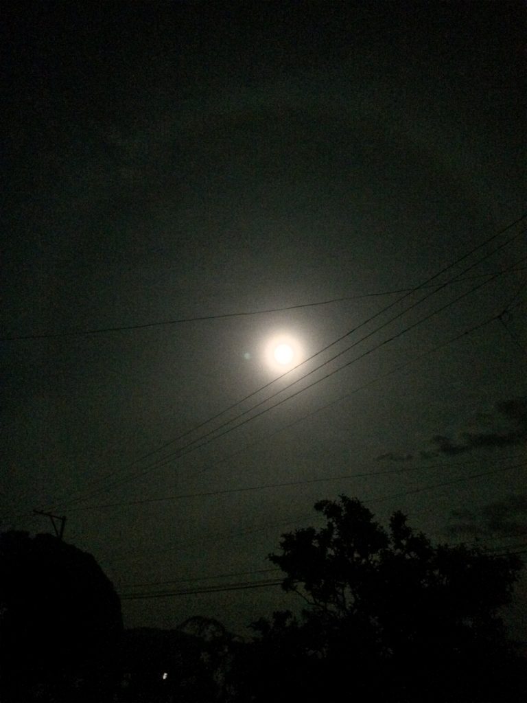 宇多田ヒカル復帰作 花束を君に 歌詞考察 コトノタネ