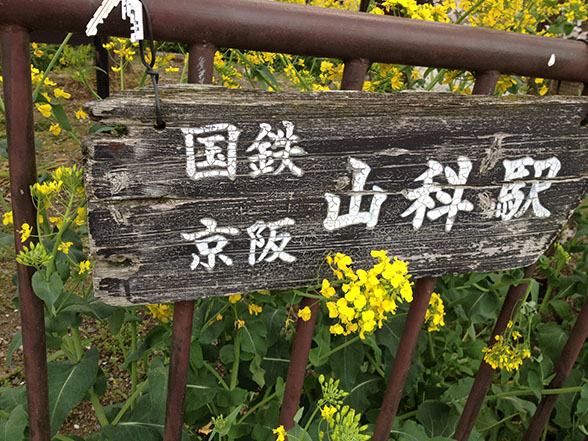 京都を旅して2012～桜と菜の花～